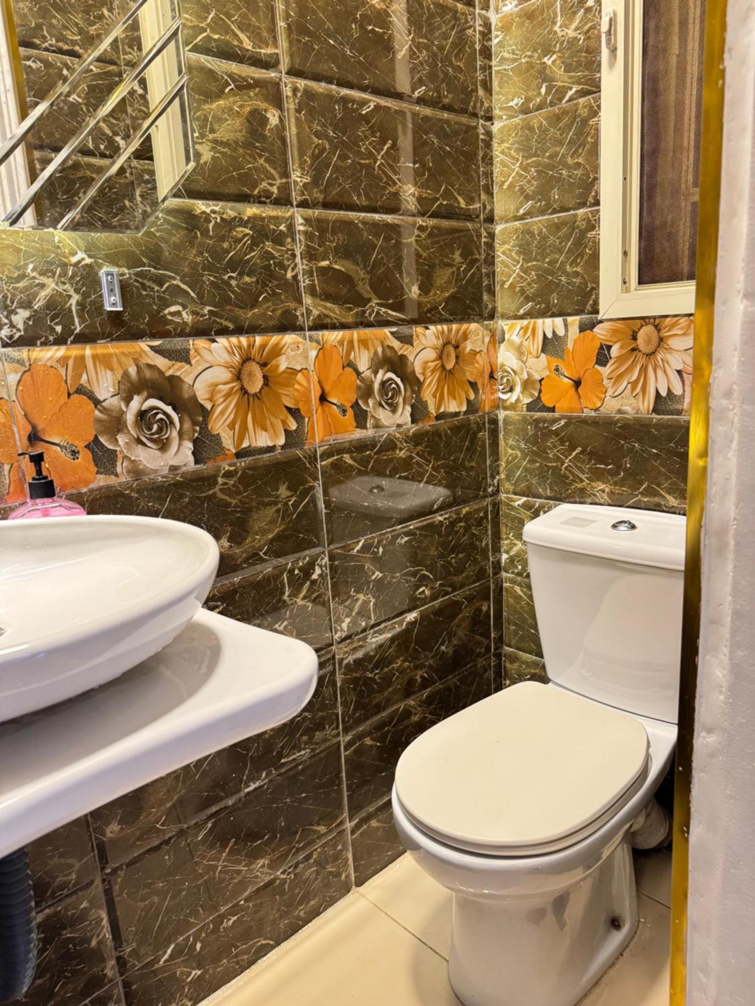 Appartement Elegant In Lively Zamalek